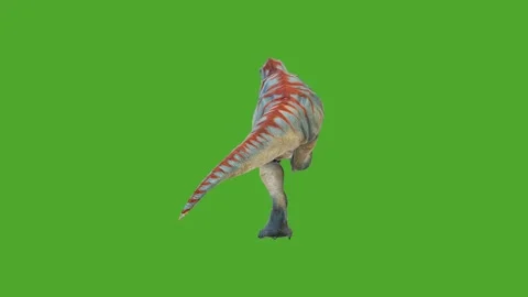 Dinosaurs high quality green screen backgrounds Stock Footage 280704954