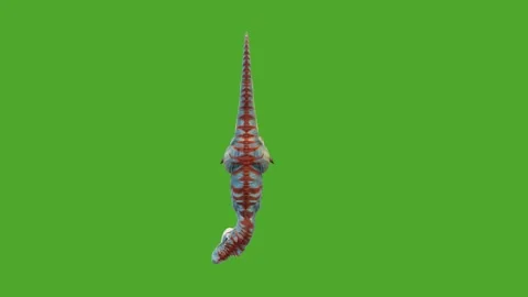 Dinosaurs high quality green screen effect 4k Stock Footage 280704960