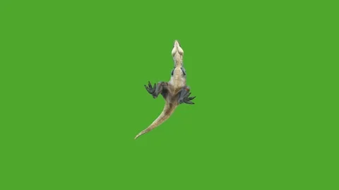Dinosaurs high quality green screen effect video Stock Footage 280704962