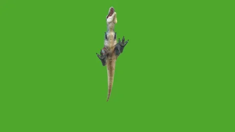 Dinosaurs high quality green screen effect video 4k Stock Footage 280704963