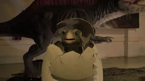 Dinosaurs Spinosaurus egg offspring face animatronic moving animal prehistoric Stock Footage 335873378