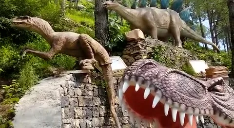 Dinosaurs statue Stock Footage 204934163