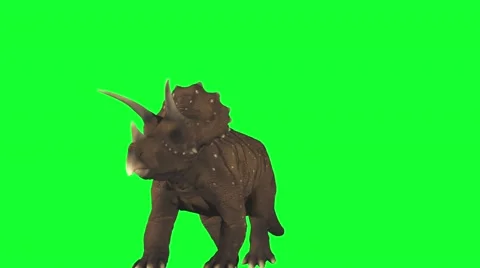 Dinosaurs walking alone on green screen to after effects composition Stock Footage 56476455