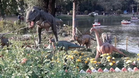 Dinosaurs in zoo Video stock 125926569