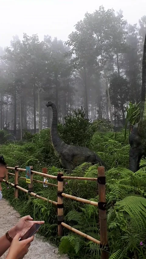 Dinosaurus Nature Stock Footage 207127974