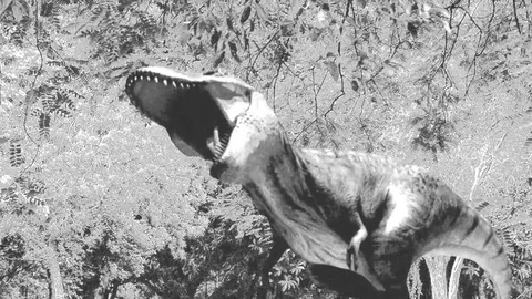 Dinossaur T-rex Stock Footage 81515153