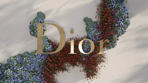 Dior Logo With Flower Background Stock Illustration