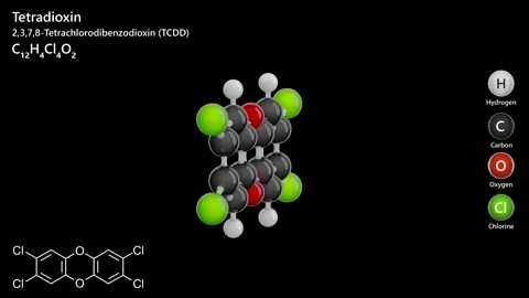 Dioxin or TCDD. 3D model of a molecule. C12H4Cl4O2 . Black background. 3D render Stock Footage 292913676