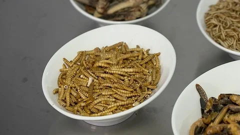 Dip of fried mealworms Stock Footage 83463353