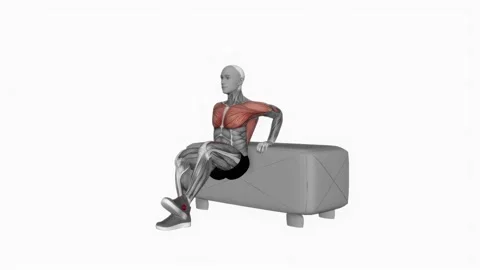 Dip Leg Raise on couch exercise fitness workout animation male muscle highlight Video stock 227560472