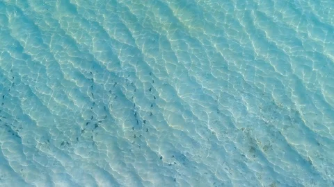 Dip water in sea Stock Footage 119045874