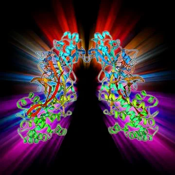 Diphtheria toxin, molecular model Stock Illustration