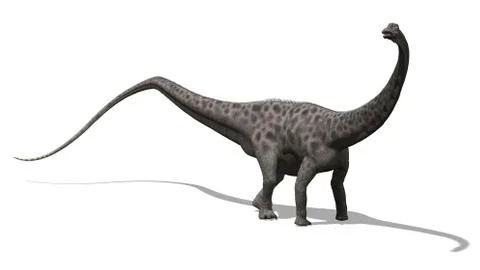 Diplodocus Dinosaur 2 Stock Illustration