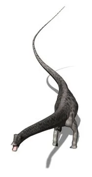 Diplodocus  Dinosaur 3 Stock-Illustration
