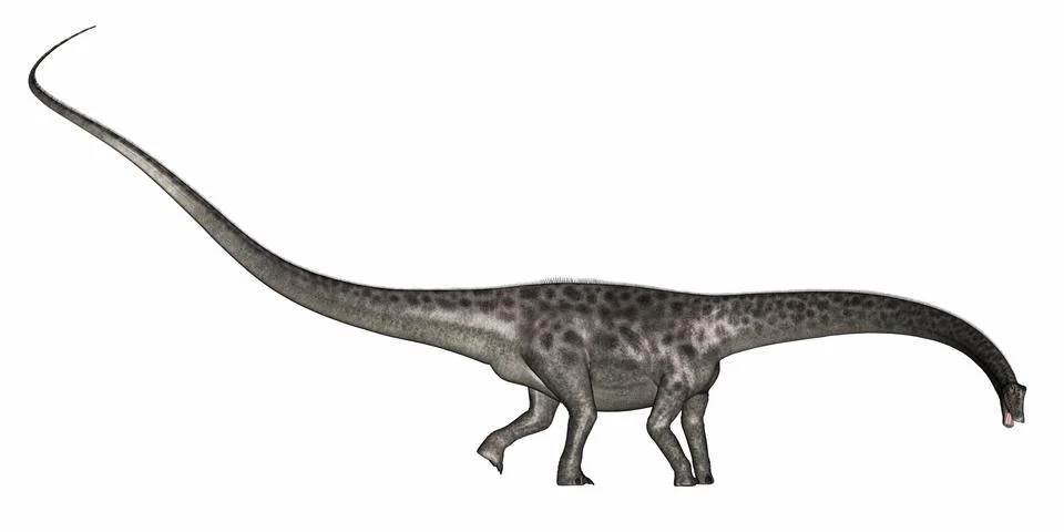 Diplodocus dinosaur - 3D render Stock Illustration