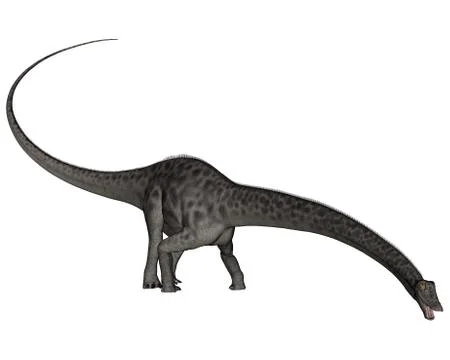 Diplodocus dinosaur head down - 3D render Stock Illustration