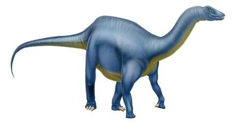 Diplodocus dinosaur イラスト素材