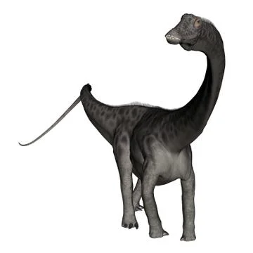 Diplodocus dinosaur standing - 3D render Stock Illustration