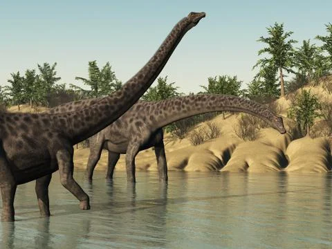 Diplodocus Dinosaurs Stock Illustration