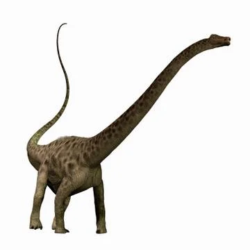 Diplodocus profile Stock Illustration