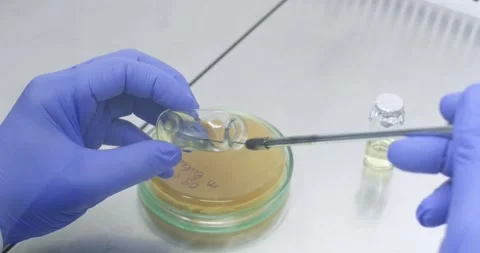Dipped bacteria into the liquid in the vial Stock Footage 339321743