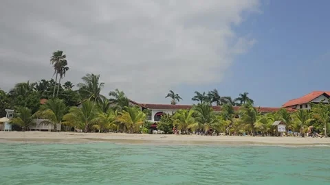 Dipping Camera Between Water and Palm Beach, Negril, Jamaica 8K Stock Footage 340367646