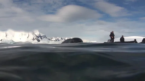 Dipping Point of View on a Summer Day Near the Ocean Stockbeeldmateriaal 321062410