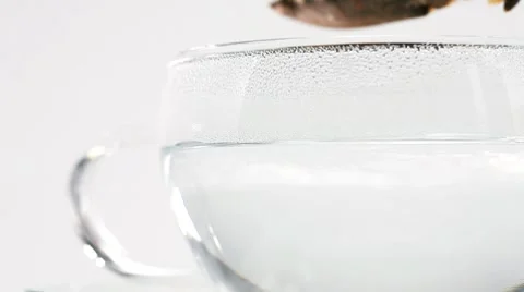 Dipping a tea bag in hot water, stirring tea with sugar swizzle stick Stock-Footage 8573060