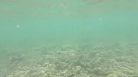 Dipping underwater 動画素材 160127530