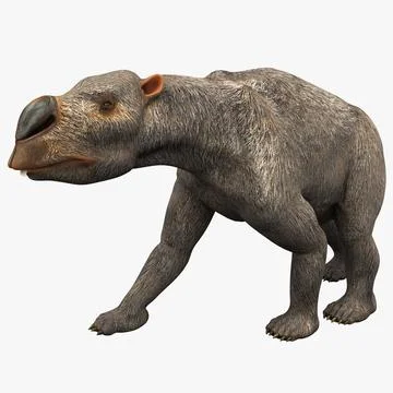 Diprotodon Pose 1 ~ 3D Model ~ Download #91499932 | Pond5