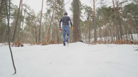 Dips. Young Athletic Man working out in forest Stock Footage 124643058