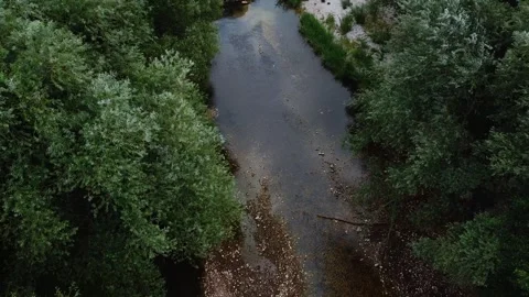 Direct Downward View Flying Above Tree Revealing River Bank and Rocky Shorel Stock Footage 320102799