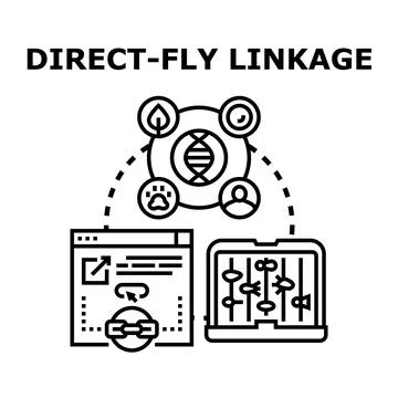 Direct fly linkage concept creating genetic connection Stock Illustration