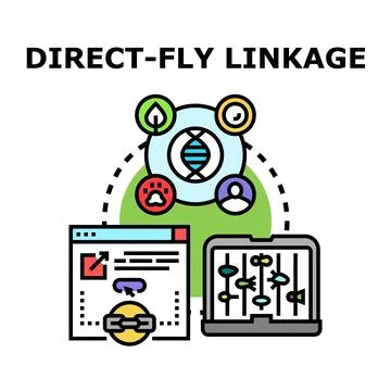 Direct fly linkage concept creating genetic connection Stock Illustration