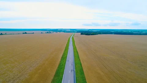 A direct highway in the middle of endless wheat fields Stock Footage 119504788