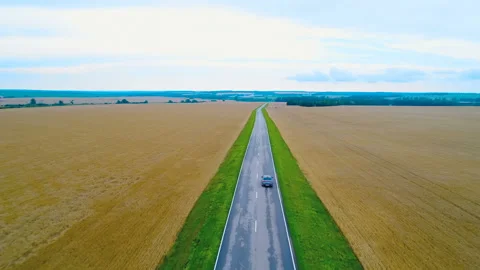A direct highway in the middle of endless wheat fields  through which a car taxi Stock Footage 119505300