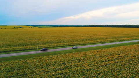 A direct highway through which a car (taxi) rides Stock Footage 119505160