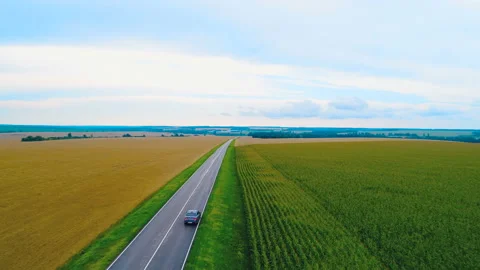 A direct highway through which a car (taxi) rides, surrounded by fields Stock Footage 119529271