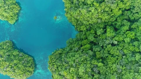 Direct overhead view of the Rock Islands of Palau Stock Footage 93270948