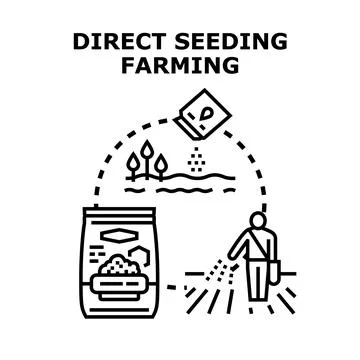 Direct seeding farming planting process field agriculture イラスト素材