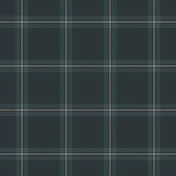 Direct texture fabric textile, present background pattern seamless. Graph p.. 스톡 일러스트