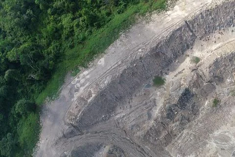 Direct top-down aerial view of a sharp boundary where a lush green forest m.. Stock Photos