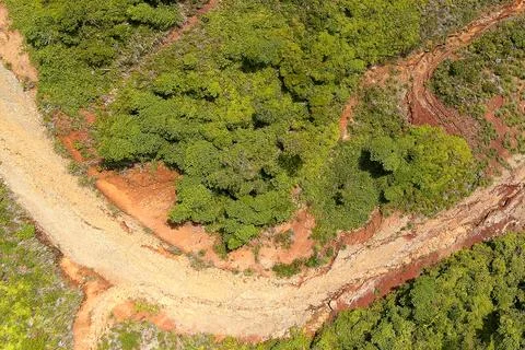 Direct top-down aerial view of a wide curved dirt logging road cutting thro.. Stock Photos