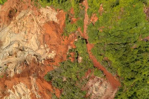Direct top-down aerial view capturing a sharp deforestation border line whe.. Stock Photos