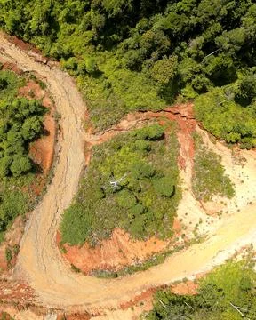Direct top-down aerial view of a curved dirt logging track cutting through .. Stock Photos