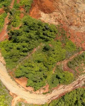 Direct top-down aerial view of a dense green forest patch surrounded by cle.. Stock Photos