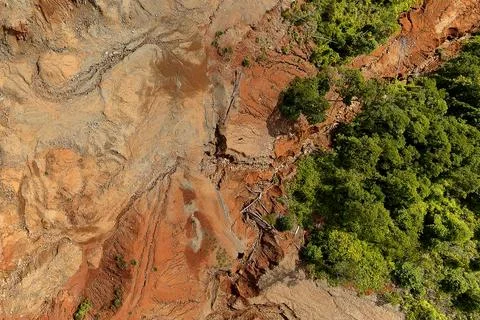 Direct top-down aerial view of a land slide zone showing fallen timber debr.. Stock Photos