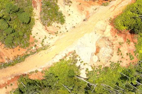 Direct top-down aerial view of a wide unpaved logging road passing through .. Stock Photos