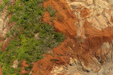 Direct top-down aerial view of a vegetation clearing boundary showing a dia.. Stock Photos