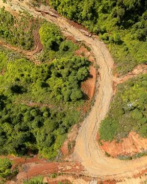 Direct top-down aerial view of a winding light-colored dirt path cutting th.. Stock Photos